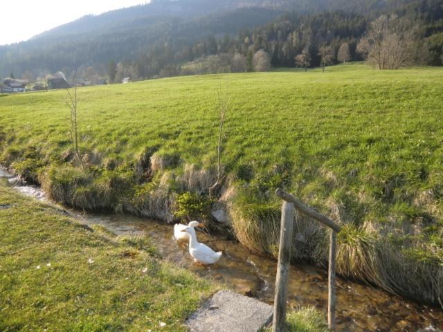Bunzbauernhof Villa Bad Mitterndorf Esterno foto